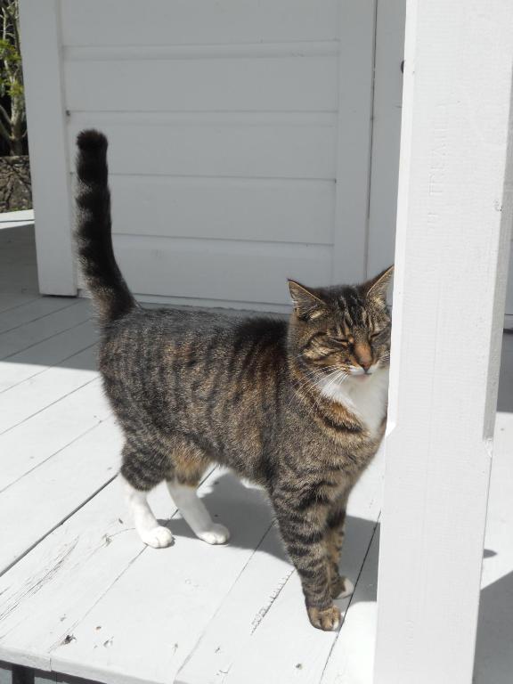 Lupton Lodge - Resim 20