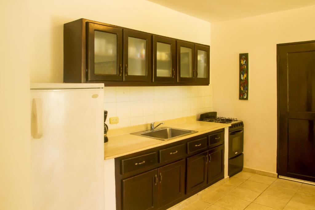 Kuchyň nebo kuchyňský kout v ubytování Cita del Sol City Apartments