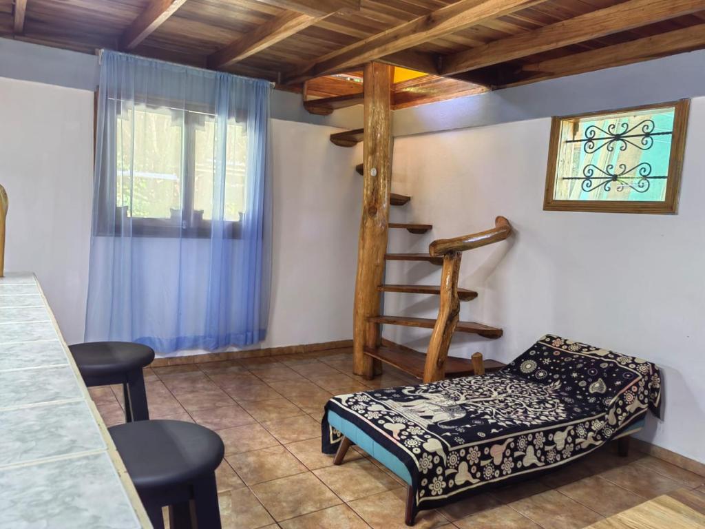 Cette chambre dispose de lits superposés et d'une échelle. dans l'établissement Brisas del Caribe,Casa 2, à Puerto Viejo