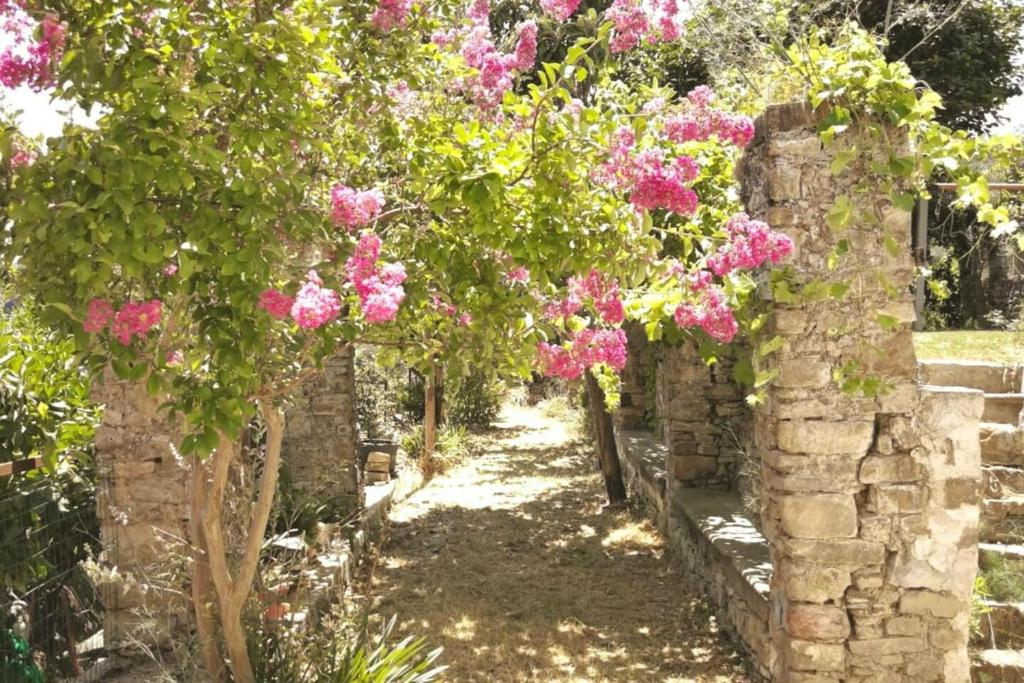 um jardim com flores cor-de-rosa numa parede de pedra em One bedroom appartement with terrace and wifi at Finocchito em Finocchito