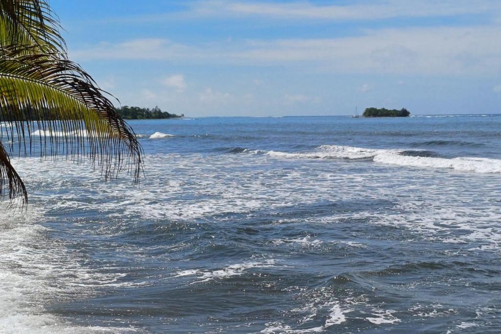 una vista del océano con una palmera y olas en Faré Ahonu beach house, en Mahina