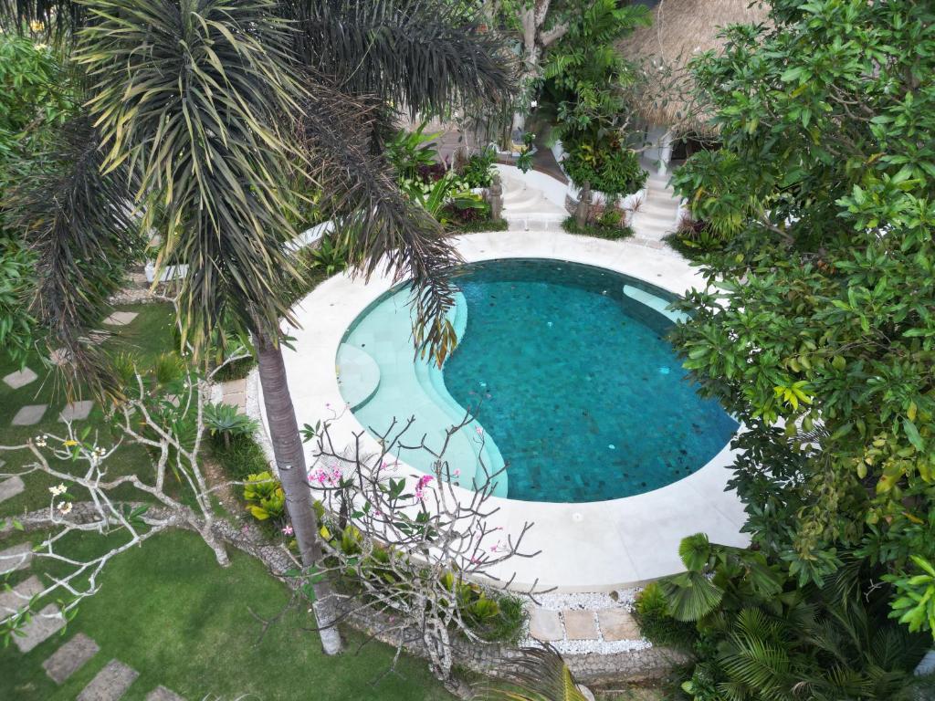 uma vista superior de uma piscina num jardim em Bodhi Bingin em Uluwatu