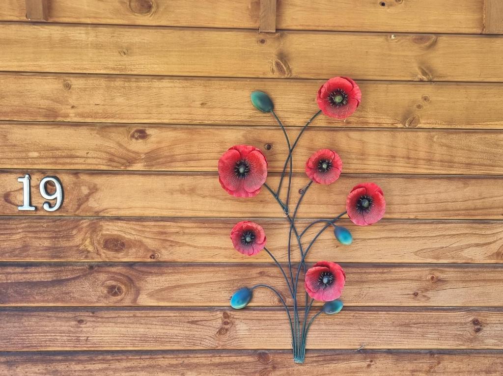 19 Torquay Terrace - Resim 22