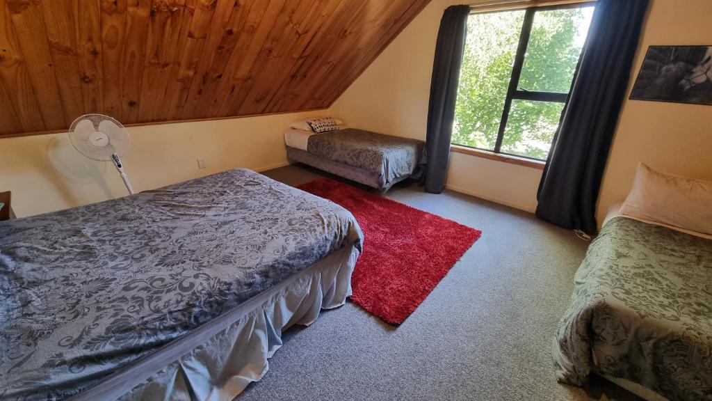 19 Torquay Terrace - Resim 25