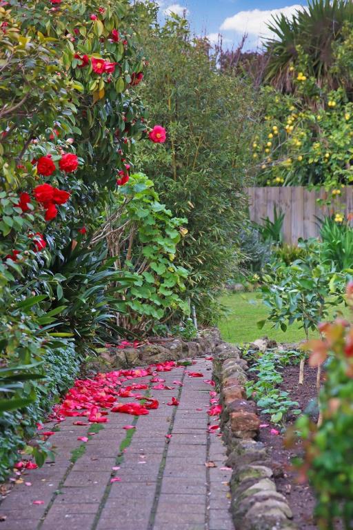 a garden with red roses on a brick path at Seven Views I Pool Table n Water Views in Clifton Springs