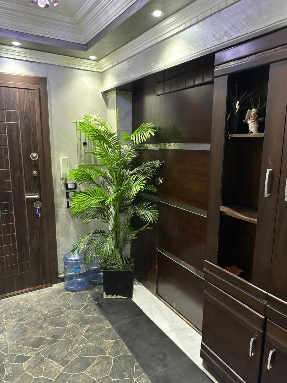 ein Badezimmer mit einer Palmenpflanze in einem Zimmer in der Unterkunft Home El Awhadi in Kairo