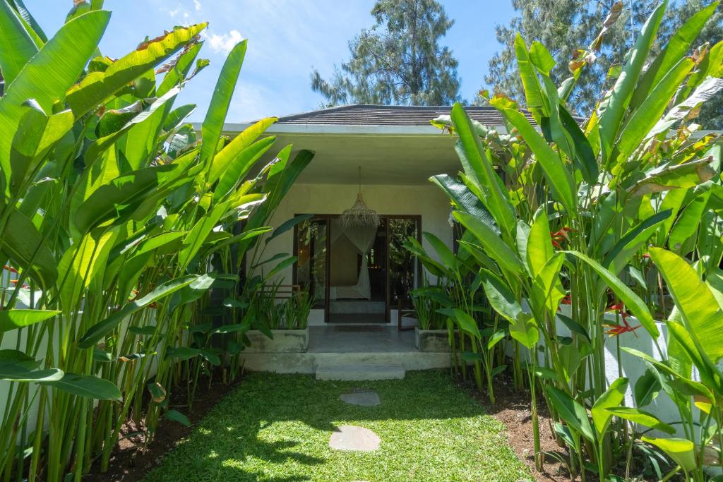 Zahrada ubytování Village Bali