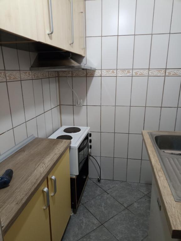 Kuchyň nebo kuchyňský kout v ubytování Mini Garsonjera
