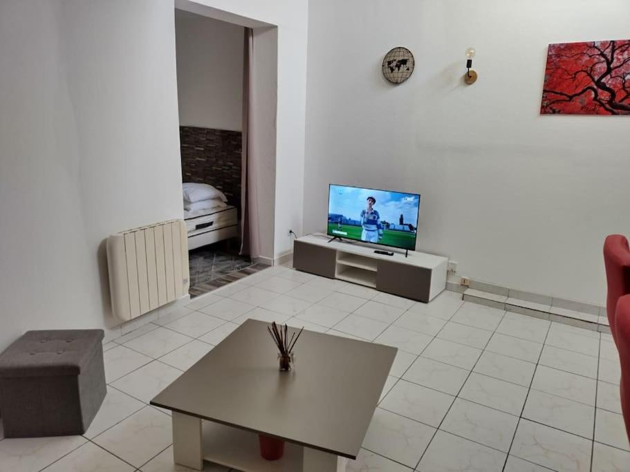 TV a/nebo společenská místnost v ubytování Spacieux studio confortable