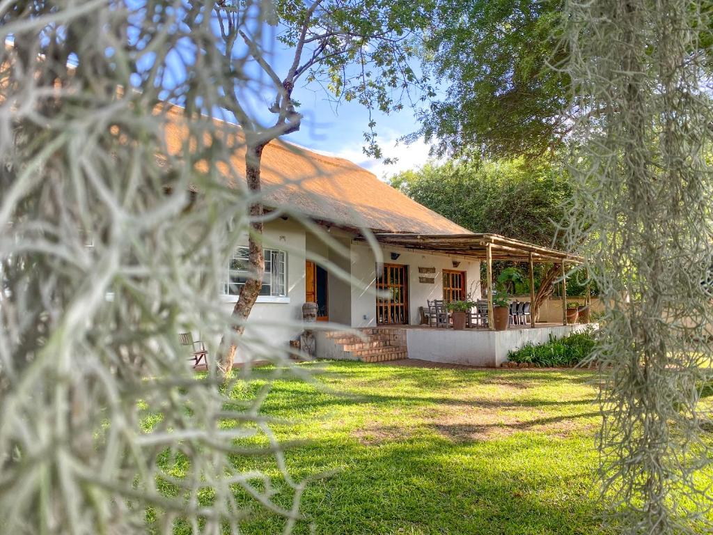 une maison vue à travers les branches d'arbres dans l'établissement Drift Inn, à Victoria Falls