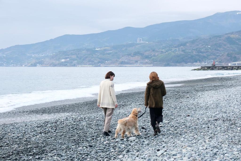 duas mulheres a passear um cão numa praia rochosa em いぬと海辺 em Odawara