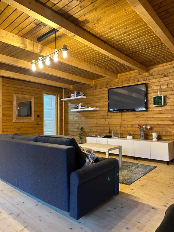 ein Wohnzimmer mit einem blauen Sofa und einem TV in der Unterkunft Wood House Nyíregyháza in Nyíregyháza