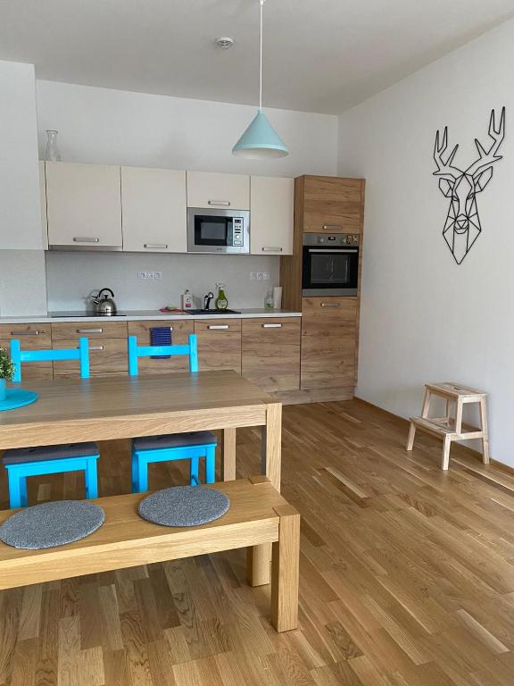 Fotografie z fotogalerie ubytování Apartman Jelen v Deštném v Orlických horách