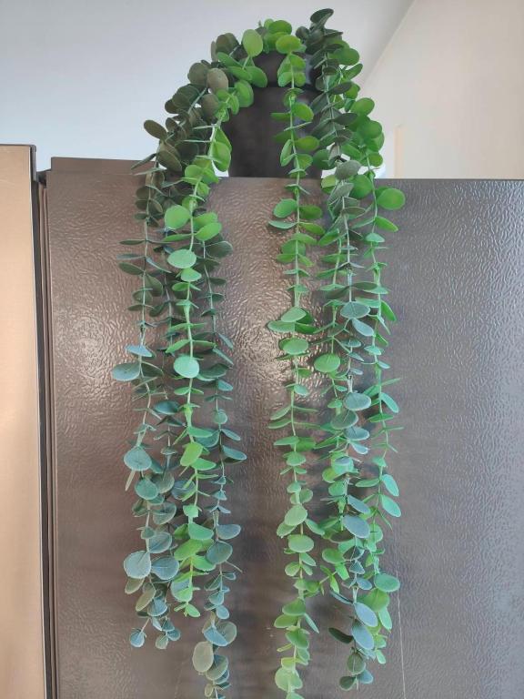 Beautiful house near everything! - Resim 20