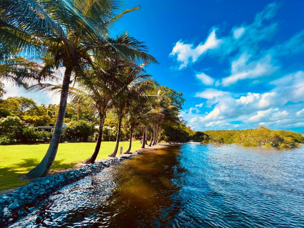 a row of palm trees on a beach next to the water at Tranquil holiday home on the water’s edge. in Rainbow Beach