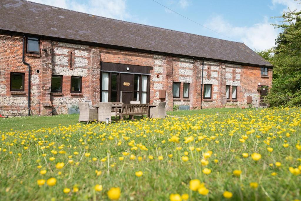 a building with a field of dandelions in front of it at Newfield Farm Cottages in Blandford Forum
