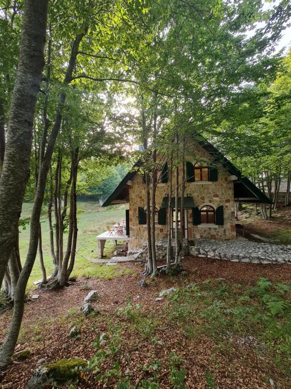 a stone house in the middle of a forest at Lovćen Escape, Rustric House in Cetinje