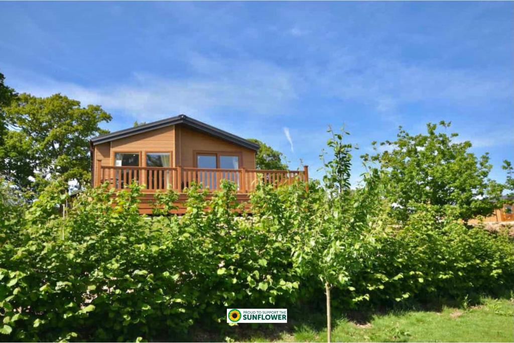 een klein huis met een terras in de struiken bij E7 Roebeck Country park in Ryde