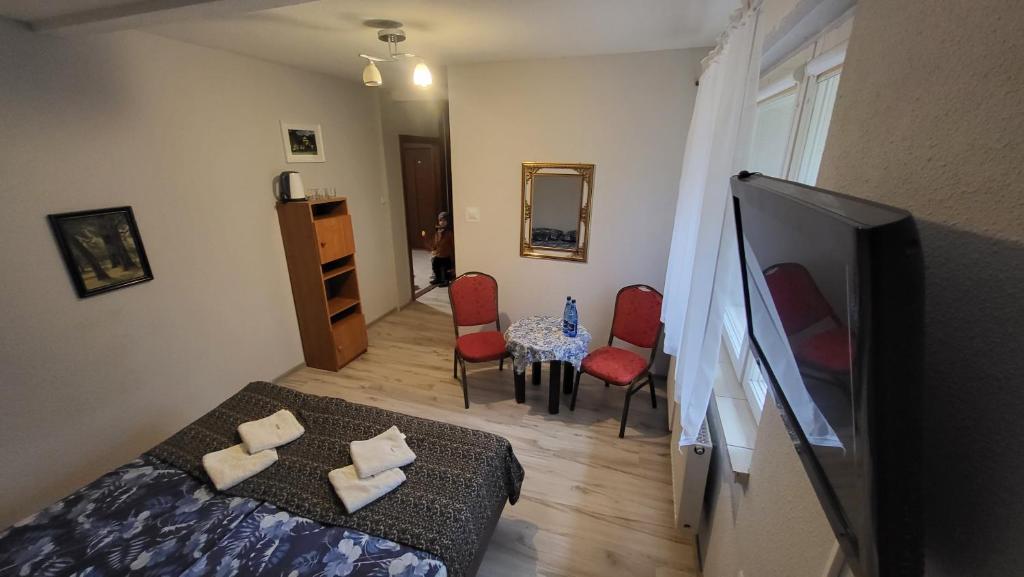 ヤロスワビエツにあるArkadia Wypoczynek i Odstresowanieのリビングルーム(ベッド1台、テレビ、テーブル付)