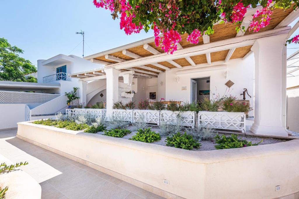 A garden outside Terrazza e Conchiglie