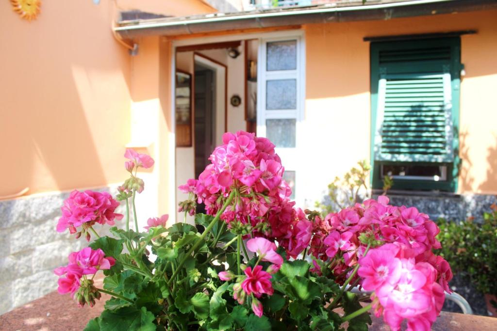 A garden outside Primario
