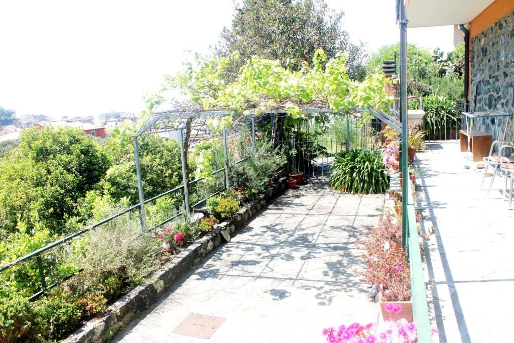 A garden outside Primario