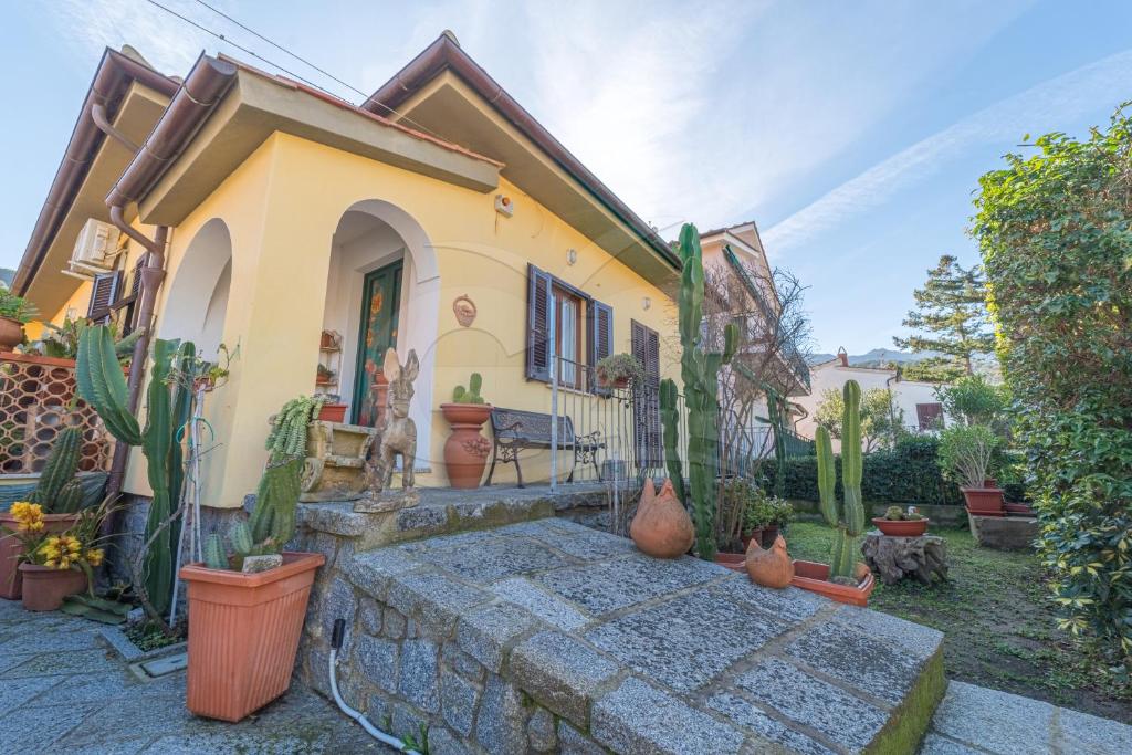 Ein Haus mit einem Haufen Topfpflanzen im Hof. in der Unterkunft Villa Lucia Comfort e Relax in Marciana Marina in Marciana Marina
