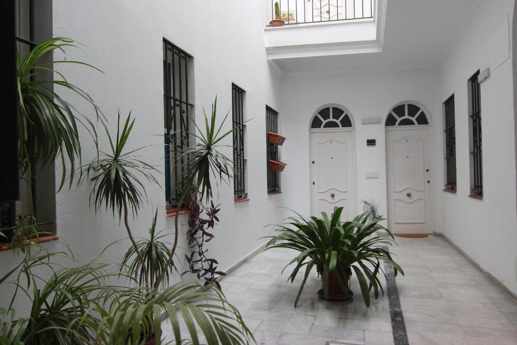 セビリアにあるApartamento Corazón de Trianaの白いドアが2つあり、鉢植えの植物が飾られた廊下