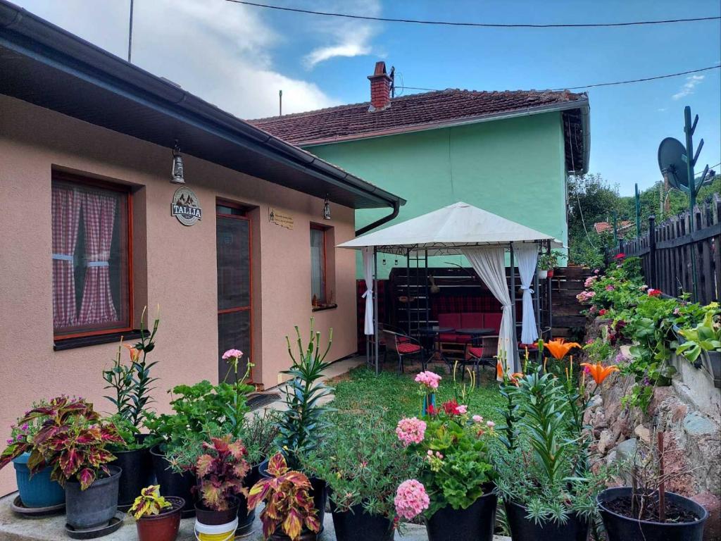 a house with a lot of plants in front of it at Kuća Talija in Kalna
