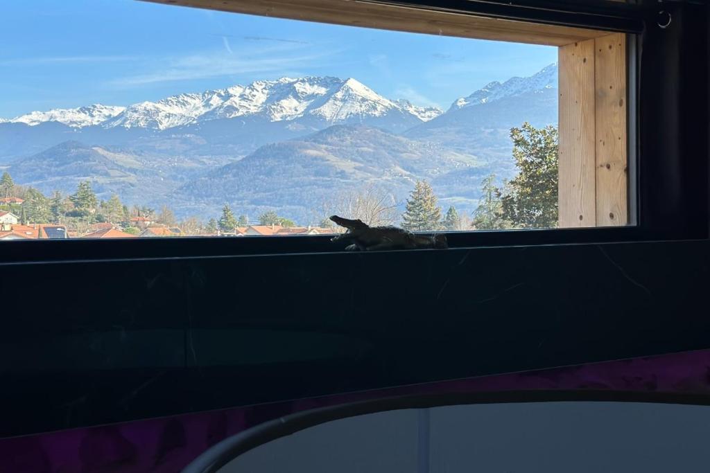 a cat sitting on a window sill looking at mountains at La Love Room de St Nazaire les Eymes in Biviers