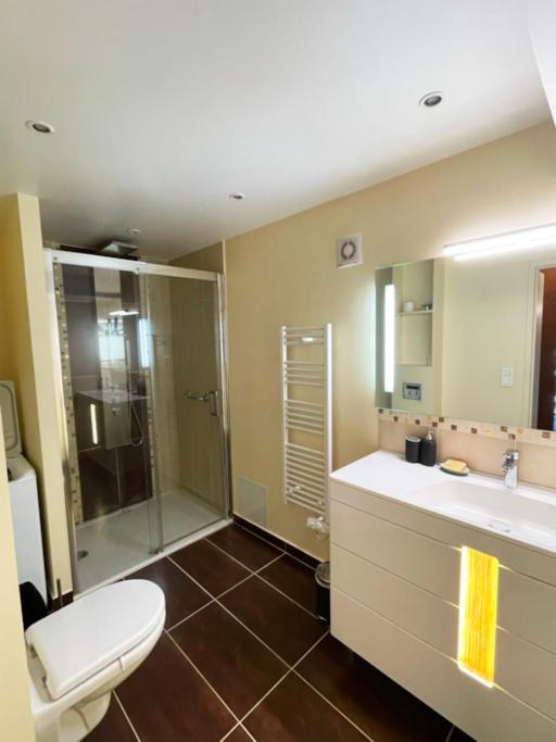 ein Badezimmer mit Toilette, Waschbecken und Dusche in der Unterkunft Merveilleux Duplex Royat Vue in Royat