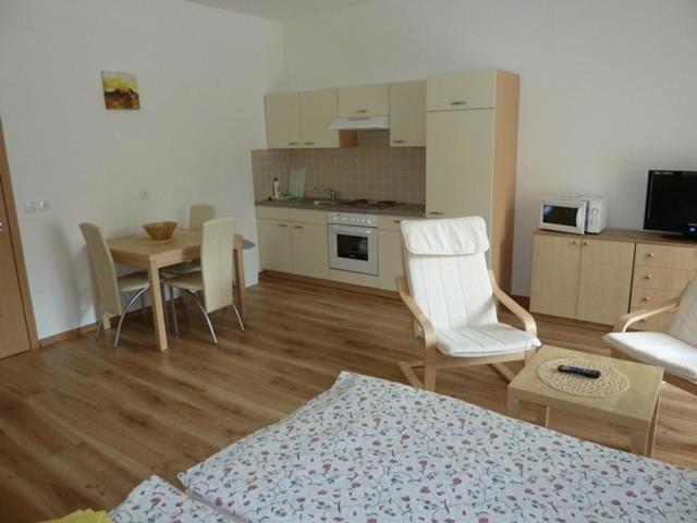 Ernesta Club Lipno - Studio (2 Adultes)
