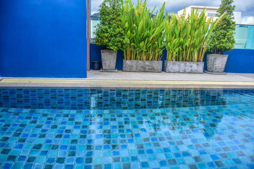 Ocean and Ole Patong - Resim 26