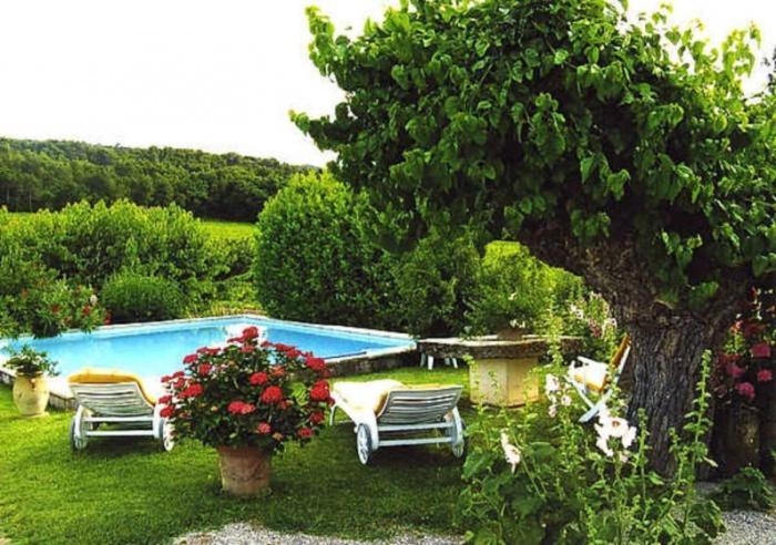 - une piscine avec deux chaises et un arbre dans l'établissement Le Petit Champ, à Buisson