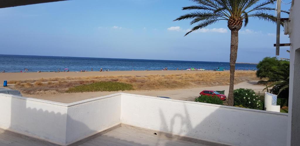 a view of a beach with a palm tree and the ocean at Playa del Sol-Casa Playa in Denia