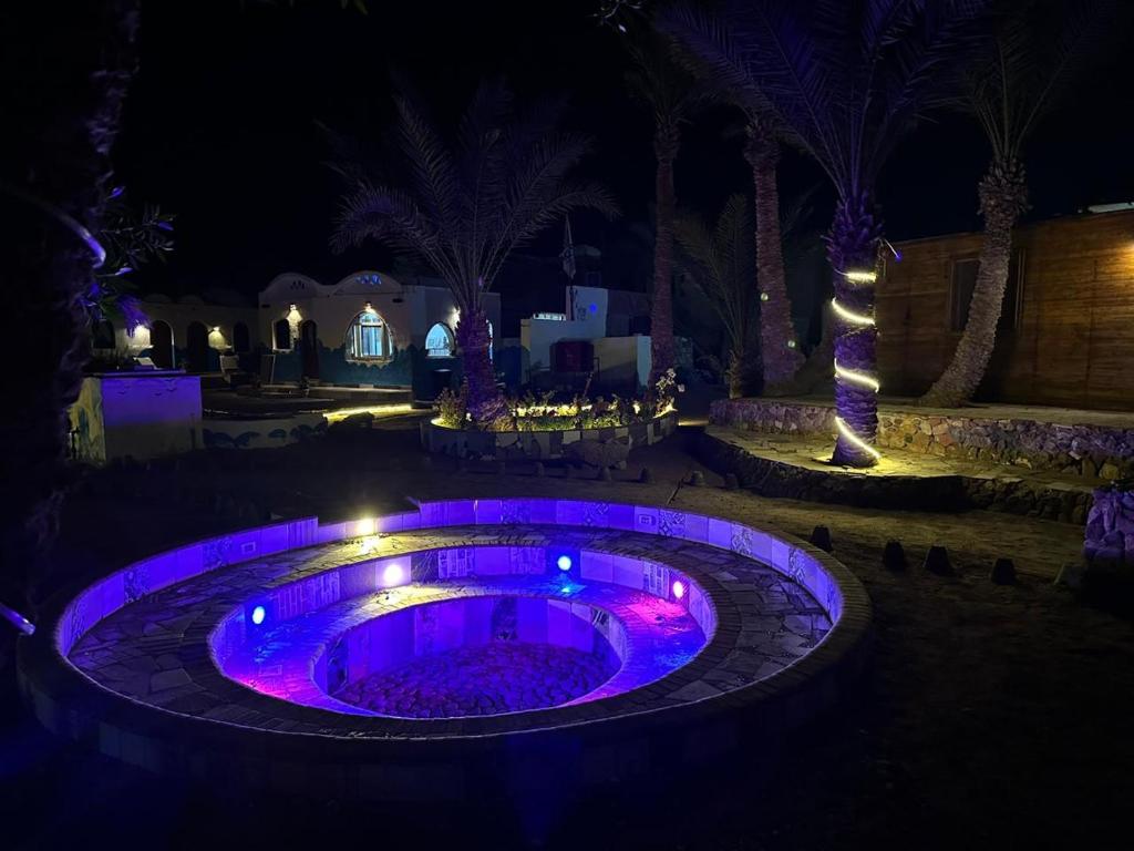 a small pool with purple lights in a yard at night at Dolphin Camp in Dahab