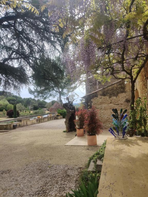 un passaggio pedonale con piante in vaso e un muro di pietra di Charme et authenticité dans une ferme. a Lourmarin