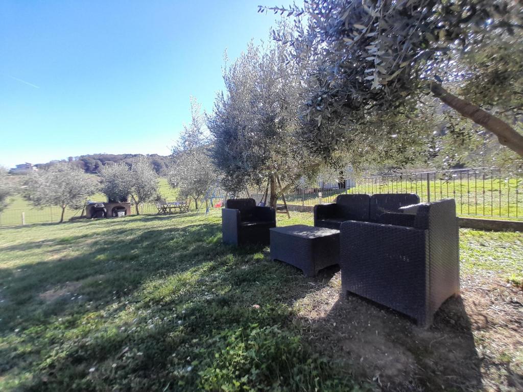 Zahrada ubytování Casal dei Colli
