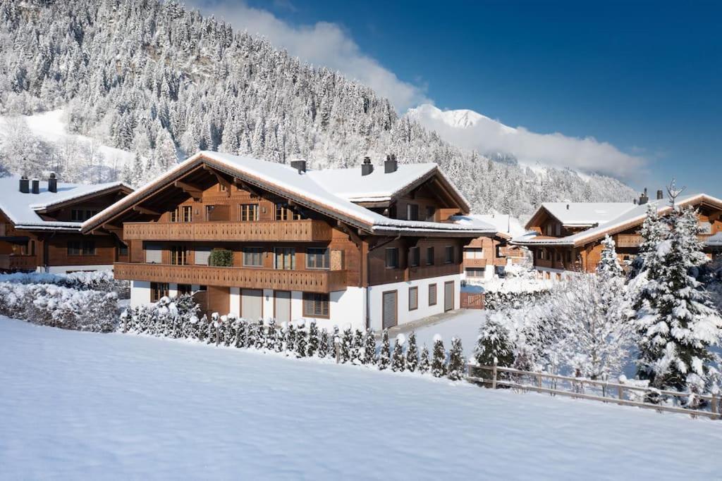 Stylish Apartment in Gstaad ziemā