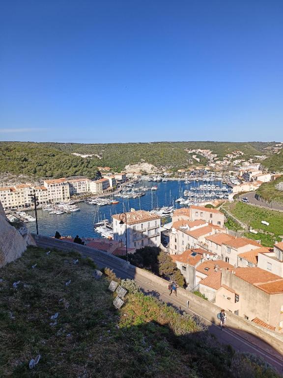une vue d'un port avec des bateaux dans l'eau dans l'établissement Appartement moderne et cosy, à Bonifacio