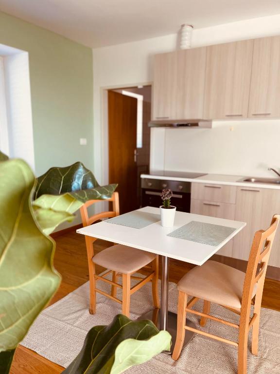 a kitchen with a table and chairs in a room at Santomas apartments in Šmarje