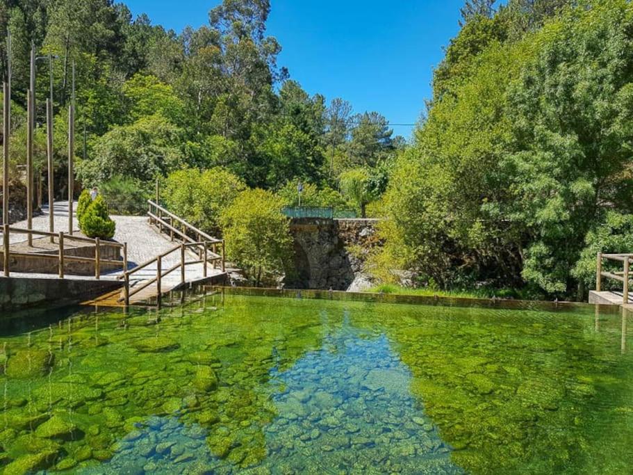 una piscina de agua verde con un puente y árboles en Casa da Calçada - Piso 1, en Seia