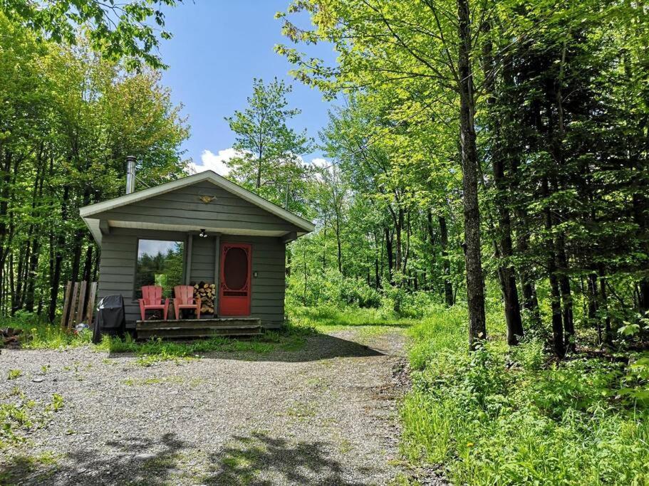 un pequeño cobertizo con un porche en el bosque en Chalet Chic Shack - Un endroit paisible, en Frampton