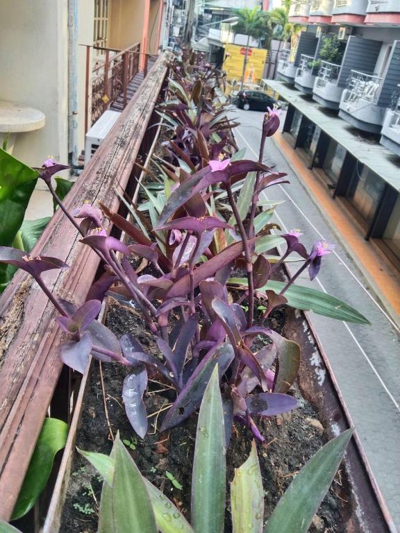 the L Hua Hin - Resim 29