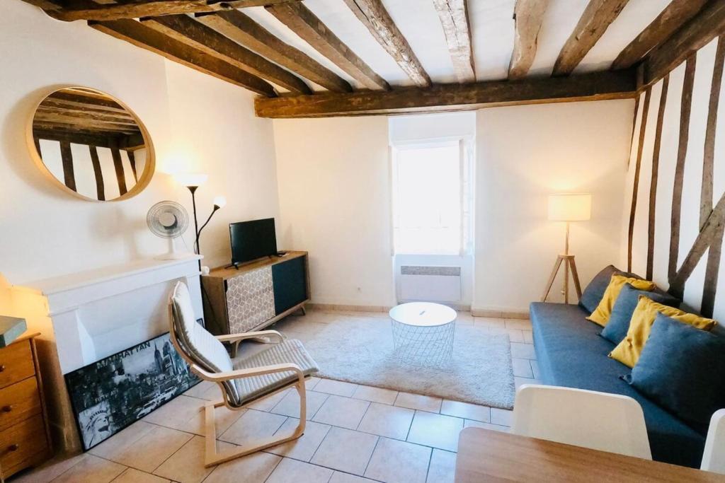 Televízia a/alebo spoločenská miestnosť v ubytovaní FONTAINEBLEAU RUE GRANDE - Chez Alexis