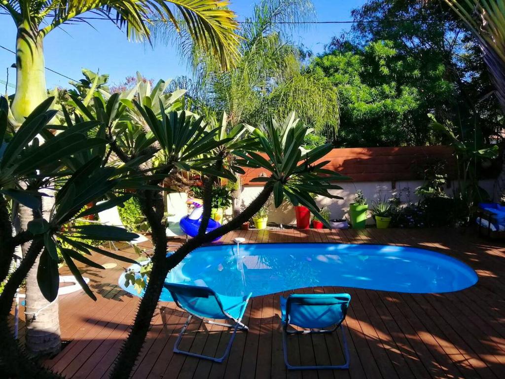 een zwembad met 2 stoelen en palmbomen bij Villa d'une chambre avec piscine privee terrasse et wifi a La Riviere Saint Louis a 8 km de la plage in Saint-Louis