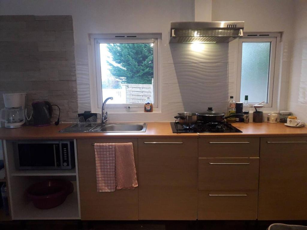 uma cozinha com um lavatório, um fogão e uma janela em Chalet d'une chambre avec terrasse et wifi a Les Breviaires em Les Bréviaires