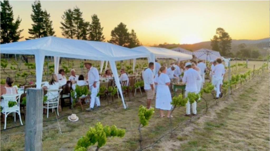 a group of people standing under tents in a vineyard at The Vigneron's Cottage at Dragonfly Estate Vineyard - Stanthorpe in Severnlea