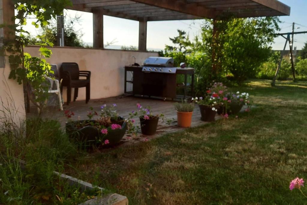einen Hinterhof mit Grill und einigen Pflanzen in der Unterkunft Villa de 3 chambres avec terrasse et wifi a Saint Georges de Baroille in Saint-Georges-de-Baroille