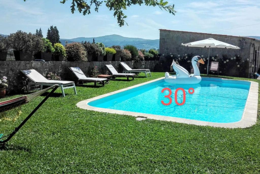 a swimming pool with a swan in the grass at 2 bedrooms house with private pool terrace and wifi at Paredes de Coura in Paredes de Coura